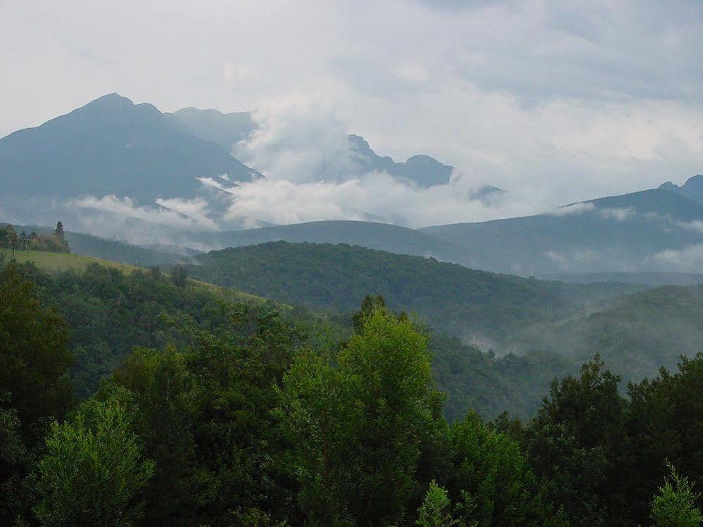 Вілла Wilderness Metanoia Екстер'єр фото